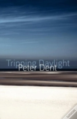 Capa do artigo Tripping Daylight