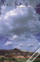Triquarterly Issue 105