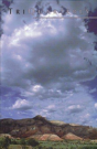 Triquarterly Issue 105 - Preview