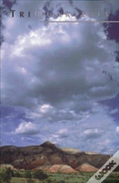 Triquarterly Issue 105