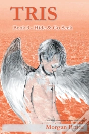 Capa do artigo Tris 3 - Hide &Amp; Go Seek