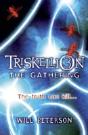 Triskelliongathering - Preview