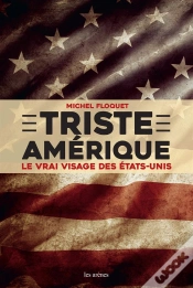 Capa do artigo Triste Amérique