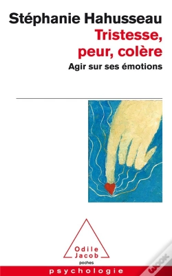 Capa do artigo Tristesse, Peur, Colère ; Agir Sur Ses Émotions