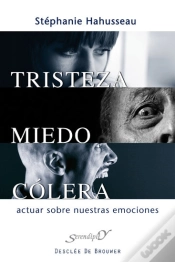 Capa do artigo Tristeza, Miedo, Cólera