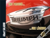 Capa do artigo Triumph