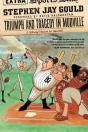 Triumph And Tragedy In Mudville - Preview