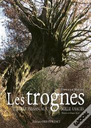 Trognes : L'Arbre Paysan Aux Mille Usages