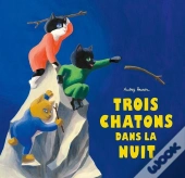 Trois Chatons Dans La Nuit