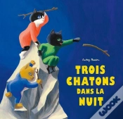 Capa do artigo Trois Chatons Dans La Nuit