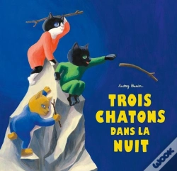 Capa do artigo Trois Chatons Dans La Nuit