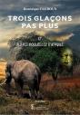 Trois Glaçons Pas Plus Et Autres Nouvelles D'Afrique - Preview