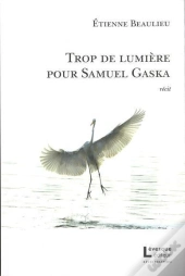 Trop De Lumiere Pour Samuel Gaska