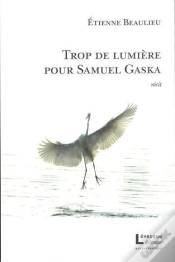 Capa do artigo Trop De Lumiere Pour Samuel Gaska