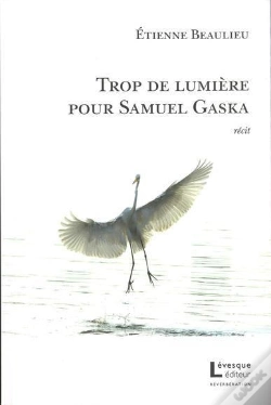 Capa do artigo Trop De Lumiere Pour Samuel Gaska