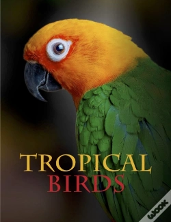 Capa do artigo Tropical Birds