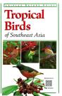 Tropical Birds - Preview