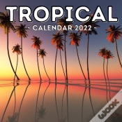 Capa do artigo Tropical Calendar 2022