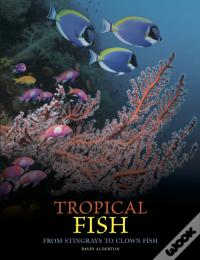 Tropical Fish