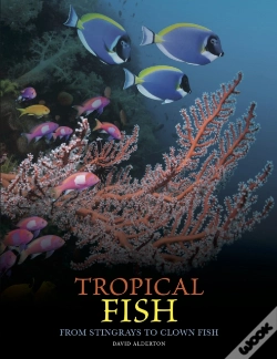 Capa do artigo Tropical Fish