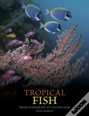 Capa do artigo Tropical Fish