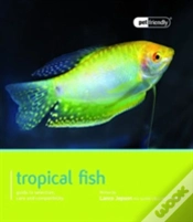 Capa do artigo Tropical Fish