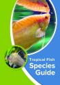 Tropical Fish Species Guide - Preview