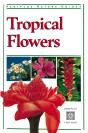 Tropical Flowers - Preview
