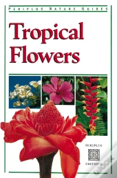 Tropical Flowers