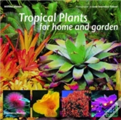 Capa do artigo Tropical Garden Plants