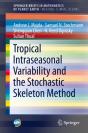 Tropical Intraseasonal Variability And The Stochastic Skeleton Method - Preview