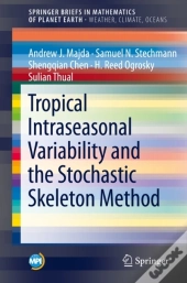 Tropical Intraseasonal Variability And The Stochastic Skeleton Method