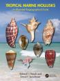 Tropical Marine Mollusks - Preview