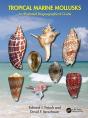 Tropical Marine Mollusks - Preview
