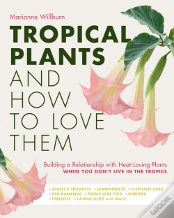 Capa do artigo Tropical Plants And How To Love Them