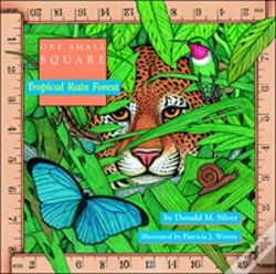 Capa do artigo Tropical Rain Forest
