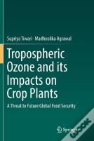 Tropospheric Ozone And Its Impacts On Crop Plants