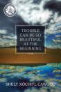 Trouble Can Be So Beautiful At The Beginning - Preview