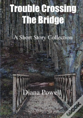 Trouble Crossing The Bridge