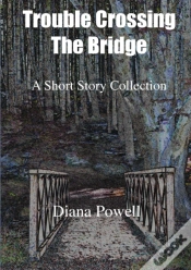 Capa do artigo Trouble Crossing The Bridge