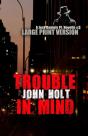 Trouble In Mind - Preview