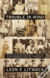 Capa do artigo Trouble In Mind