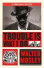 Trouble Is What I Do - Preview