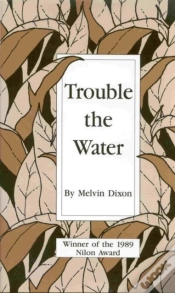 Capa do artigo Trouble The Water