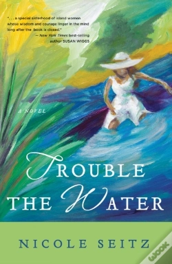 Capa do artigo Trouble The Water