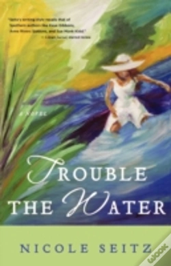 Capa do artigo Trouble The Water