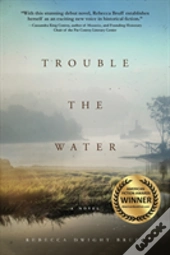 Trouble The Water