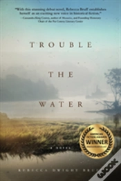 Capa do artigo Trouble The Water