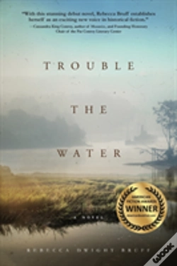 Capa do artigo Trouble The Water