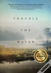 Trouble The Water